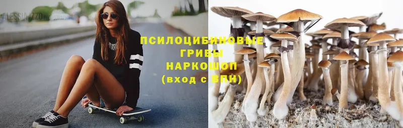 Псилоцибиновые грибы MAGIC MUSHROOMS  как найти   блэк спрут   Нерехта 